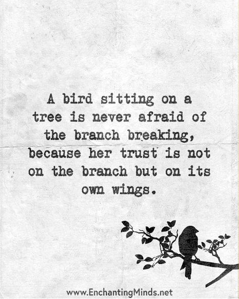 A Bird Sitting On A Branch Quote, Guy Friend Quotes, Wings Quotes, Guy Friend, Tree Quotes, Bird Quotes, Bird Sitting, Loft Ideas, Prophetic Art