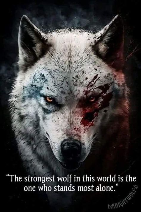 Lone Wolf Quotes, Villain Quote, Wolf Quotes, Wolf Spirit Animal, Man Up Quotes, Savage Quotes, She Wolf, Anime Quotes Inspirational, Wolf Spirit