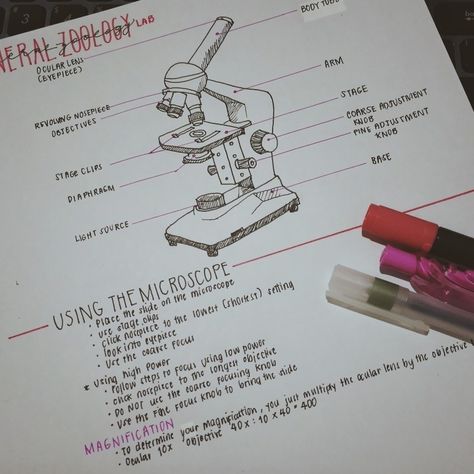 Microscope, General Zoology Bio Diagrams Aesthetic, Microscope Notes Biology, Microscope Notes, Microscope Drawing, Respect Pictures, Gcse Biology, Biology Diagrams, General Biology, August Wallpaper