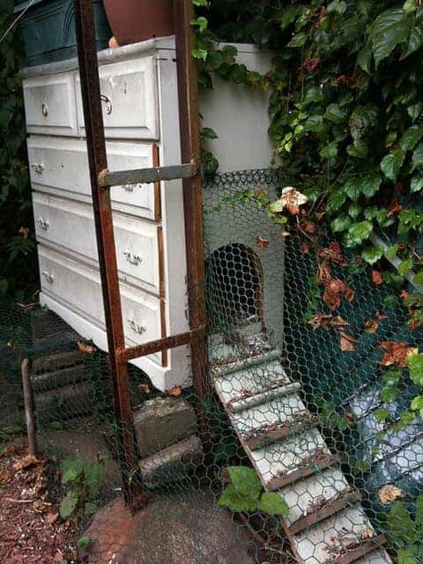 Urban Chicken Coop, Chicken Coup, Urban Chickens, Old Chest, Backyard Chicken Coops, Hen House, Diy Chicken Coop, Chicken Diy, Have Inspiration