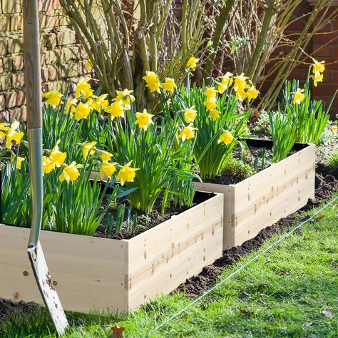 LOTS OF ROOM TO GROW: This 4' x 4' garden bed provides plenty of planting space for herbs, flowers, vegetables, or even trees. Wood Raised Garden Bed, Wooden Raised Garden Bed, Elevated Planter Box, Bed Liner, Patio Plants, Garden Oasis, Wooden Planters, Garden In The Woods, Planter Box