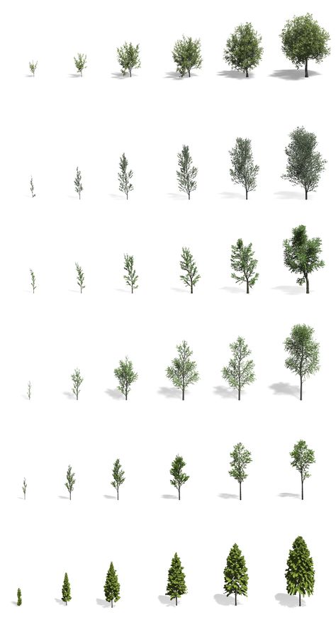 Photoshop Materials Architecture, Collage Architecture, Landscape Architecture Diagram, Landscape Architecture Graphics, Tree Diagram, Tree Model, Tree Growth, Reverse Engineering, Tree Textures