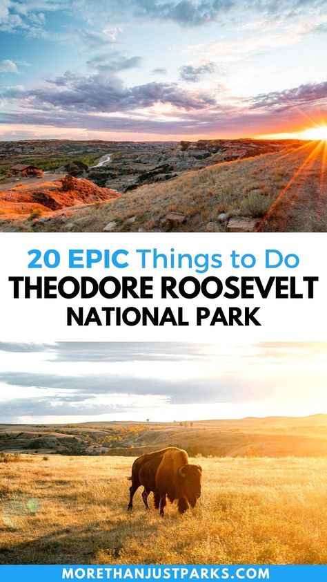 Theodore Roosevelt National Park Hiking, National Parks In The Us, North Dakota Travel, South Dakota Road Trip, South Dakota Vacation, Roosevelt National Park, South Dakota Travel, Theodore Roosevelt National Park, Yellowstone Trip