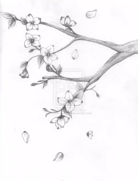 Cherry Blossom Drawing Pencil, Sakura Sketch Flower, Cherry Blossom Tree Drawing Pencil, Sakura Tree Drawing, Tree Pencil Drawing, Sakura Sketch, Tree Pencil Sketch, Japanese Cherry Blossom Tree, Drawing Japanese