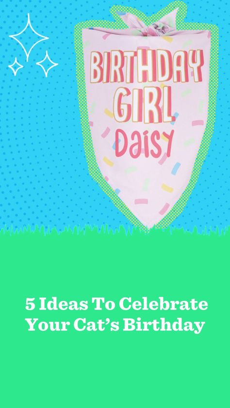 Looking for ideas to celebrate your cat’s birthday? The Dodo made a list of five ideas to help you plan the best birthday. Cat Parents, Cat Parenting, Cat S, Cat Birthday, Lists To Make, Girl Birthday, Funny Animals, Keep Calm Artwork, How To Plan