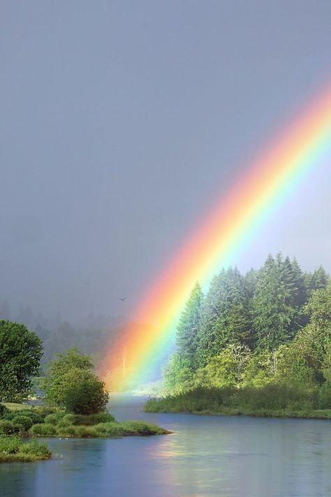 Happiness! Terra Nova, God's Promise, Rainbow Sky, Cool Backgrounds Wallpapers, Beautiful Locations Nature, Happy St Patricks Day, Cool Backgrounds, Over The Rainbow, Walking In Nature