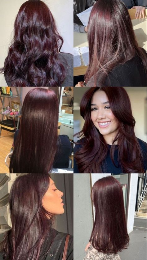 Magohany Hair Color, Pretty Ways To Dye Your Hair, Hair Inspo Color Peekaboo, Professional Dyed Hair, Light Highlights In Dark Hair, Dark Hair To Red Hair Before And After, Casual Birthday Lunch Outfit, Fall Hair For Pale Skin Green Eyes, Dark Hair Red Tint