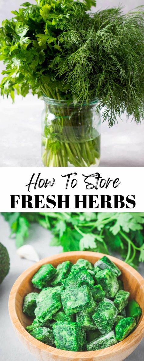 How To Store Fresh Herbs From Garden, How To Use Fresh Thyme, How To Preserve Thyme, Storing Fresh Herbs, How To Store Herbs, How To Store Fresh Dill, What To Do With Dill Fresh Herbs, How To Store Fresh Herbs, Preserve Parsley