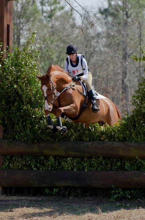 Cross Country Course, Eventing Cross Country, Cross County, Cross Country Jumps, Equestrian Aesthetic, Eventing Horses, Equestrian Helmet, Equestrian Riding, Horse Jumping