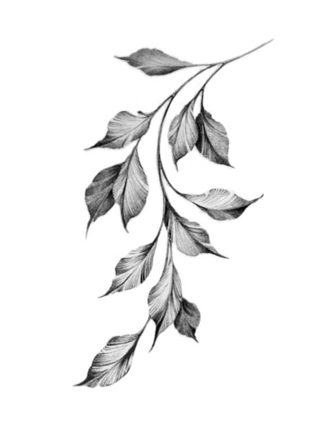 Gothic Flowers Drawing, Dark Leaves Tattoo, Vine Filler Tattoo, Minimalist Leaf Tattoo, Rose Leaves Tattoo, Jungle Leaves Tattoo, Gothic Floral Tattoo, Foliage Tattoo, Blackwork Floral