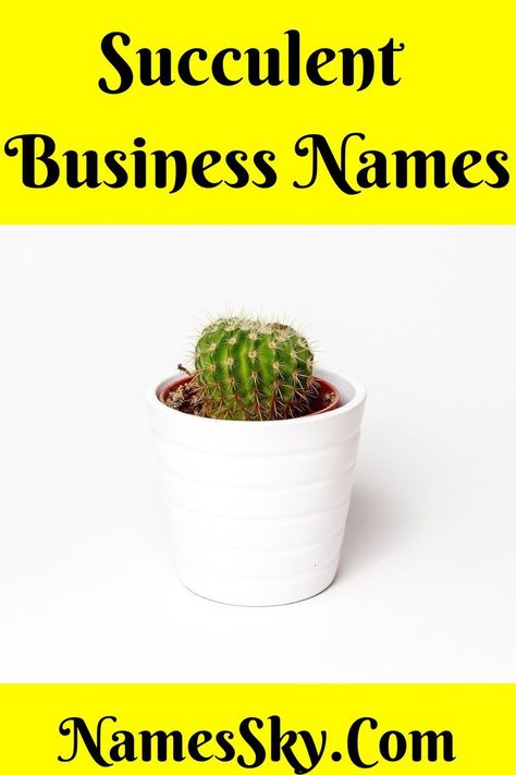 Looking for Succulent Business Names? Succulents are gradually taking their place in plant lovers’ hearts as well as in the indoor garden. Hence, investing in a business of succulents is a promising field and can show you a quick profit as well. @succulentcity @businessinsider @cactuscreek @usatoday @brandbucket Names For Plant Business, Succulent Business, Succulent Names, Unique Business Names, Catchy Names, Creative Names, Names Ideas, Name Generator, Cactus Garden