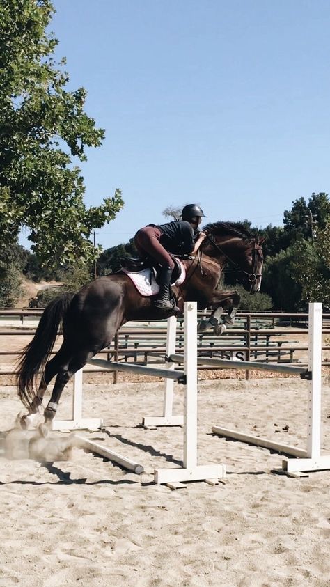 Outdoor Arena Horses, Horse Jumping Aesthetic, Bay Horse Jumping, Horse Riding Jumping, Horse Bucking, Horseback Riding Outfit, Aesthetic Equestrian, Riding Outfit Equestrian, Horses Jumping