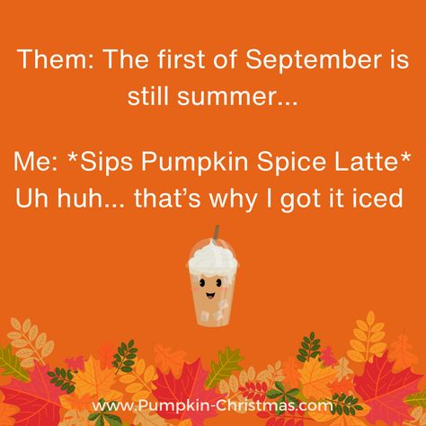 September Funny Them/Me Joke Fall Memes Humor, Fall Humor, Fall Memes, Halloween Memes, Funny Fall, Teacher Memes, Autumn Thanksgiving, Felt Board, Happy Fall Y'all