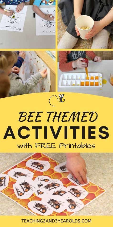 Learning about bees can be filled with exploration. During our bug unit, our preschoolers had an opportunity to create honeycomb, taste honey, and play fun bee games! #bees #insects #theme #activities #bugs #preschool #3yearolds #4yearolds #printables #teaching2and3yearolds Bee Curriculum Preschool, Bee Week Preschool, Bee Science Preschool, Bees Preschool Theme, Bee Unit Preschool, Bee Activity For Preschool, Bee Learning Activities, Bees For Preschoolers, Bee Themed Games