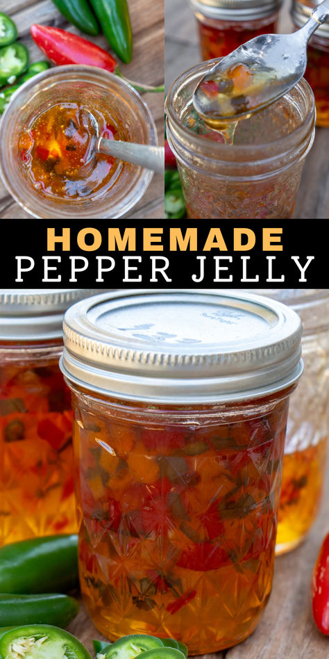 This easy step-by-step guide teaches how to make delicious pepper jelly with jalapenos and sweet peppers! Learn how to can or freeze this homemade jelly recipe for longterm storage that will give you a delicious side with cream cheese and crackers. Canning Pepper Jelly, Homemade Pepper Jelly, Spicy Pepper Jelly, Jalapeno Jelly Recipes, Pepper Jelly Recipe, Jalapeno Pepper Jelly, Canning Peppers, Pepper Jelly Recipes, Jalapeno Jelly