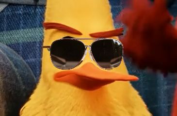 If Chuck had glasses... Angry Birds Chuck, Chuck Angry Birds, Birds Movie, Series Characters, Angry Birds Party, Honest Reaction, Angry Birds Movie, Friend Group, Fav Characters