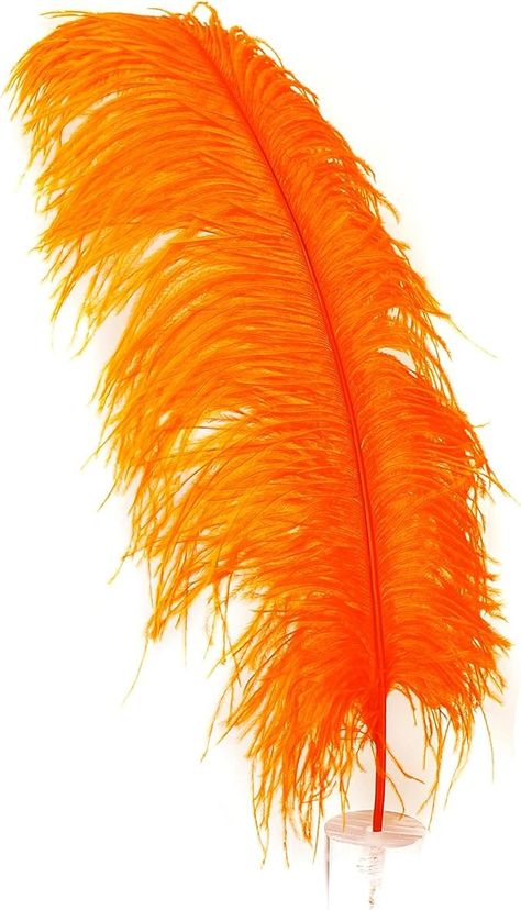 Amazon.com: ZUCKER Feather Products Ostrich Selected Feather Drab, 17", Orange : Clothing, Shoes & Jewelry Orange Clothing, Baby Hair Clips, Color Naranja, Ostrich Feathers, Orange Bag, Amazon Art, Baby Hair, Sewing Stores, Halloween Ideas