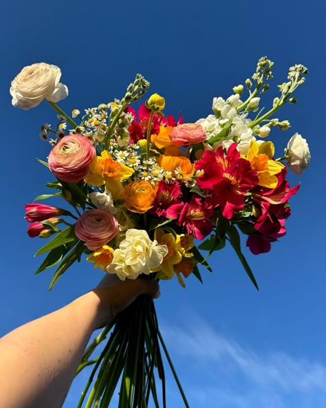 🌞 A sunshine bouquet for a grey day 🌫️ I’d love to do wedding florals in these hot pink & orange tones 🌺🍊 Getting married & want vibrant blooms?! Get in touch! #sunshineflowers #sunshinebouquet #brightbridalbouquet #brightweddingflowers #orangebridesmaids #orangebridalbouquet #brightweddings #colourfulbridalbouquet #colourfulweddingflowers Bright Flower Bouquets, Yellow And Pink Wedding Flowers, Pink Orange Wedding Bouquet, Pink Orange Yellow Wedding, Pink And Orange Bouquet, Hoco Flowers, Yellow Flower Arrangements, Yellow Bridal Bouquets, Orange Bridal Bouquet