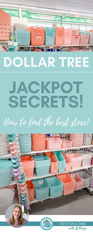 Dollar Tree Baskets, Dollar Tree Storage, Dollar Tree Diy Organization, Mom Crafts, Dollar Tree Organization, Bake Chicken, Dollar Store Diy Organization, Grocery Savings, Dollar Tree Hacks