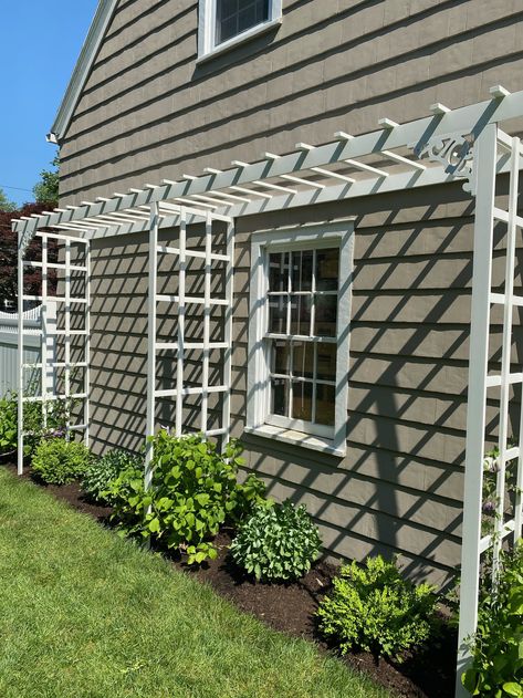 Front Of House Trellis Ideas, Trellis Over Driveway, Diy Trellis Over Window, Arbor On Side Of House, L Shaped Trellis, Blank Side Of House Ideas, Trellis In Front Of House, Over Window Trellis, Trellis Attached To House