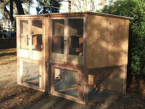 Pallet Chicken Breeding Pens | Visit my blog! the Egg Farm and enter the give-a-way for Egg, by ... Chicken Breeding Pens, Chicken Quilts, Duck Pen, Chicken Breeding, Chicken Hatching, Quail Coop, Poultry Breeds, Egg Farm, Chicken Dance