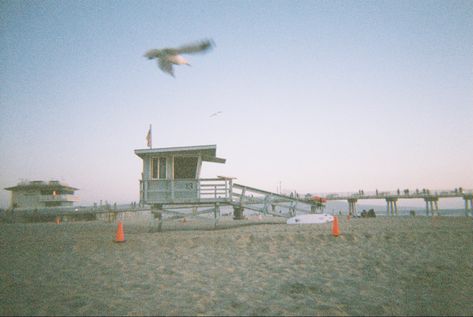 California hermosa beach film summer aesthetic LA los angeles california vacation photo idea beach durfing travel dream Beach On Film, Film Summer, Beach Film, Beaches Film, Vacation Photo, Vacay Mode, California Vacation, Hermosa Beach, Shoot Film