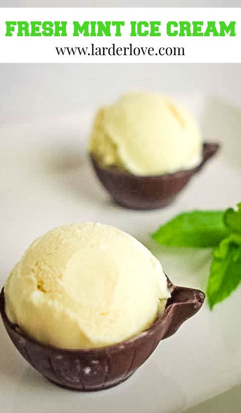 Using Fresh Mint, Mint Leaves Recipe, Mint Recipes Fresh, Cuisinart Ice Cream Maker Recipes, Mint Gelato, Mint Desserts, Mint Chocolate Ice Cream, Cuisinart Ice Cream, Cuisinart Ice Cream Maker