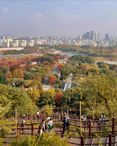 Haneul Park in Seoul, autumn vibes Korean Park Place Aesthetic, Seoul November, Seoul Park, Haneul Park, Bukchon Hanok Village, Nami Island, South Korea Travel, Japan Trip, Japan Aesthetic