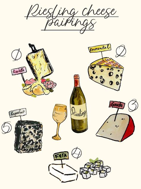 riesling cheese pairing infographic Riesling Food Pairing, Wine And Food Pairing, Wine Infographic, Food Pairing, Wine And Food, Wine Pairings, Cheese Pairings, Wine Club, Wine Food Pairing