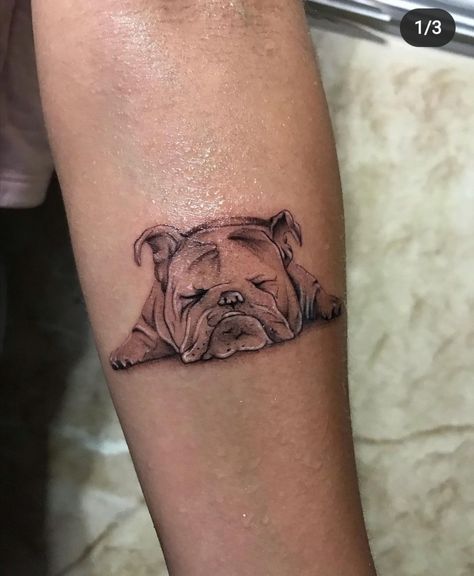 Small English Bulldog Tattoo, English Bulldog Memorial Tattoo, Cute Bulldog Tattoo, Bulldog Memorial Tattoo, English Bulldog Tattoo Ideas, American Bulldog Tattoo, Tattoo Motocross, Bulldog Tattoo Ideas, Frenchie Tattoos