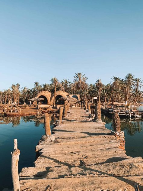 The Magical Siwa Oasis, Egypt - The Daydream Drifters Siwa Oasis Egypt, Siwa Egypt, Siwa Oasis, Cutlery Set Stainless Steel, Explore Travel, Oasis, Egypt, Travel Guide, Salt