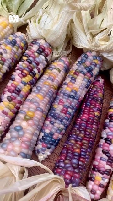 Gem Corn, Fairytale Food, Glass Gem Corn, Indian Corn, Corn Plant, Food Fantasy, Growing Veggies, Diy Jar Crafts, Glass Gems