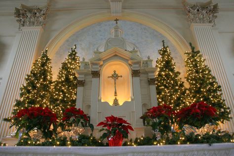 St. Dominic's Catholic Church at Christmas. Benicia,CA Church Christmas Decorations Sanctuary, Christmas Church Decorations, Christmas Altar, Christmas Stage Design, Sanctuary Decor, Church Christmas Party, Church Christmas Decorations, Church Altar Decorations, Christmas Stage