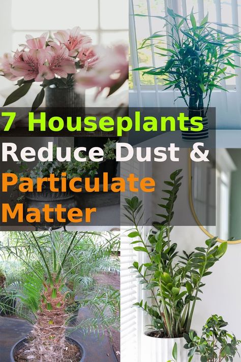 Inside House Plants, Indoor Plants Clean Air, Low Light House Plants, Indoor Plants Low Light, Air Cleaning Plants, Easy House Plants, Air Purifying House Plants, Household Plants, Plant Care Houseplant