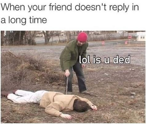 15 Of The Best Friendship Memes To Share With Your Idiot Best Friend - Memebase - Funny Memes Friendship Memes, Friendship Humor, Friend Memes, Best Friends Funny, Soul Sisters, Memes Humor, Funny Relatable Quotes, One Pilots, Friends Funny