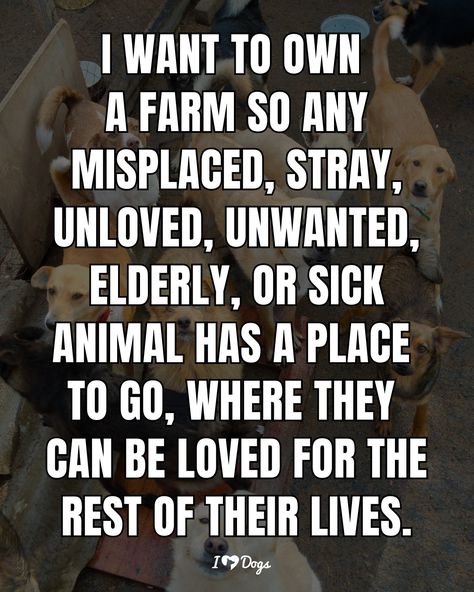 I Support Animal Rescue Rescue Dog Quotes, Animal Rescue Quotes, Rescue Quotes, Animal Lover Quotes, Dog Rescue Stories, Mottos To Live By, True Quotes About Life, Happy Hippie, Unusual Words