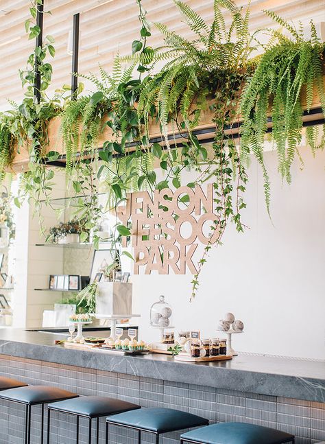 Modern First Birthday, Pot Gantung, Hanging Leaves, Interior Design Plants, Indoor Plant Wall, Tanaman Indoor, Plants Hanging, Hanging Plant Wall, Ivy Leaves