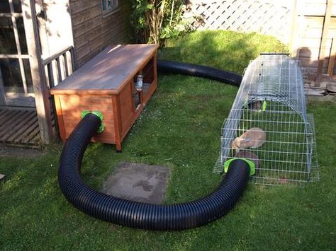 Tapsi Hapsi, Diy Bunny Cage, Guinea Pig Run, Diy Rabbit Hutch, Guinea Pig Hutch, Rabbit Enclosure, Unique Rabbit, Meat Rabbits, Guinea Pig House