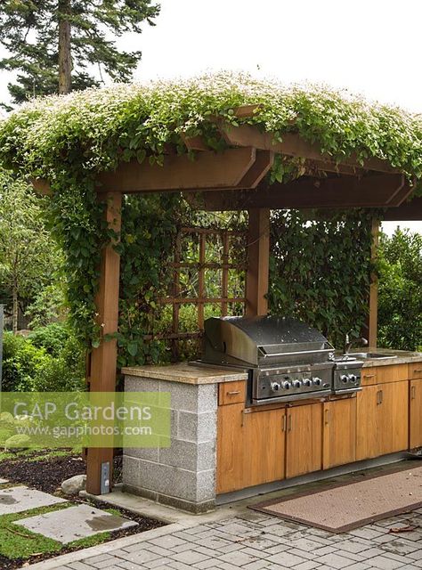 Clematis terniflora growing over pergola sheltering outdoor kitchen Outdoor Kitchen Shelter, Outdoor Kitchen Arbor, Small Outdoor Kitchen Ideas With Pergola, Pergola Cooking Area, Grill Pergola, Outdoor Kitchen Pergola, Corner Outdoor Kitchen With Pergola, Built In Grill With Pergola, Grill Under Pergola