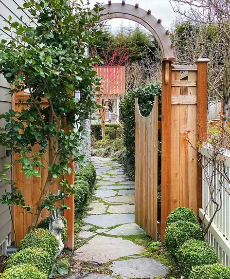 25 Side Yard Ideas to Make the Most of Unused Space Camellia Hedge, Side Yard Ideas, Side Yard Gate, Backyard Gates, Yard Gate, Garden Gate Design, Side Yard Landscaping, Family Backyard, Side Yards