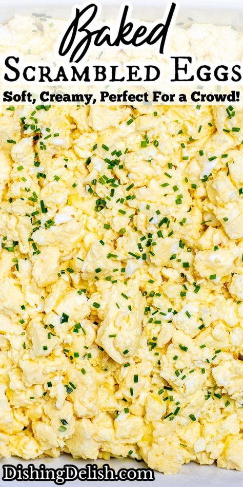 Baked Scrambled Eggs are the perfect way to feed a large crowd, made with only 5 simple ingredients and ready in under 45 minutes! Scrambled Egg Recipes For A Crowd, How To Make Scrambled Eggs For A Crowd, Scramble Eggs For A Crowd, Easy Eggs For A Crowd, Baked Eggs For A Crowd, Scrambled Eggs For A Crowd Crock Pot, Make Ahead Scrambled Eggs For A Crowd, Oven Scrambled Eggs For A Crowd, Eggs For A Crowd Make Ahead Breakfast