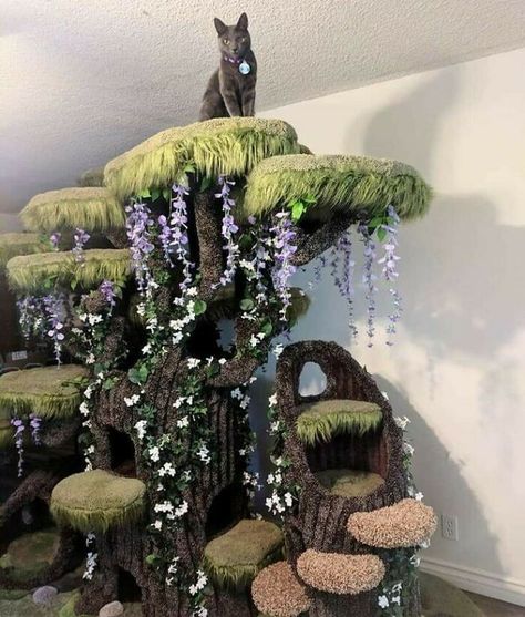 Takken Decor, Katt Diy, Katt Grejer, Kat Diy, Chat Diy, Spoiled Cats, Cool Cat Trees, Cat Tree House, Diy Cat Tree