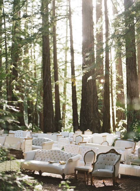 BreeLayne + Hunter – FOUND RENTAL CO Forest Wedding Ceremony, Wedding Ceremony Seating, Rustic Wedding Decorations, Enchanted Forest Wedding, Outdoor Seating Area, Ceremony Seating, Wedding Outdoor, Vintage Rentals, Wedding Ceremony Decorations