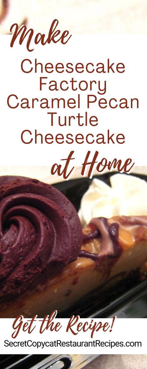 Cheesecake Factory Caramel Pecan Turtle Cheesecake Recipe - Secret Copycat Restaurant Recipes Copycat Cheesecake Factory Cheesecake Recipes, Cheesecake Factory Cheesecake Recipes, Cheesecake Factory Copycat Recipes, Turtle Cheesecake Recipe, Pecan Cheesecake Recipes, Cheesecake Flavors, Turtle Cheesecake Recipes, Cheesecake Factory Copycat, Cheescake Recipe