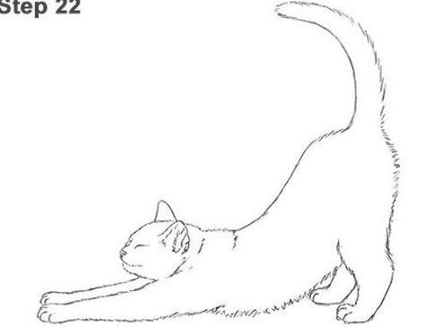 Running Cat Tattoo, Long Cat Tattoo, Tabby Cat Tattoo Simple, Stretching Cat Tattoo, Cat Stretching Drawing, Cat Walking Drawing, Cat Stretching Tattoo, Cat Outline Tattoo, Kitten Tattoo