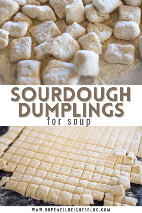 uncooked sourdough dumplings Potato Flake Discard Recipes, Sourdough Discard Chicken And Dumplings, Sourdough Dumplings, Broth Chicken Soup, Hopewell Heights, Bone Broth Chicken, Dough Starter Recipe, Broth Chicken, Recipe Using Sourdough Starter