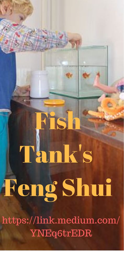 (1)	What is the best position of the fish tank in the living room? (2)	Is it suitable for placing the fish tank in the kitchen? (3)	What are the five elements of the fish tank’s shape? Corner Fish Tank, The Five Elements, Five Elements, Fifth Element, The Fish, Fish Tank, Feng Shui, The Kitchen, Fish