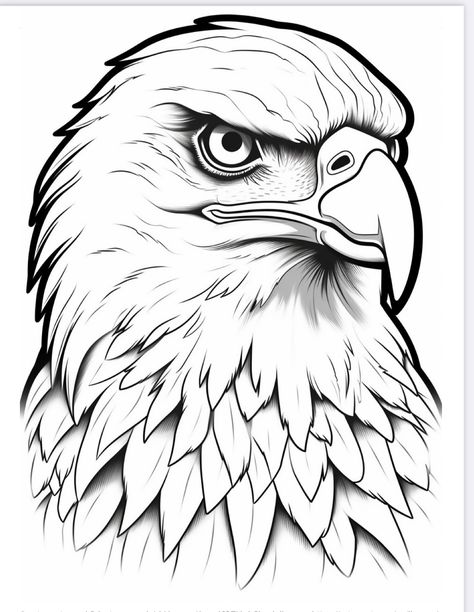 Eagle Tattoo Stencil Design, Egal Drawings, Eagle Drawing Simple, Eagle Head Tattoo Design, Eagle Tattoo Stencil, Eagle Head Drawing, Simple Eagle Tattoo, Eagle Drawings, Eagle Tattoo Ideas