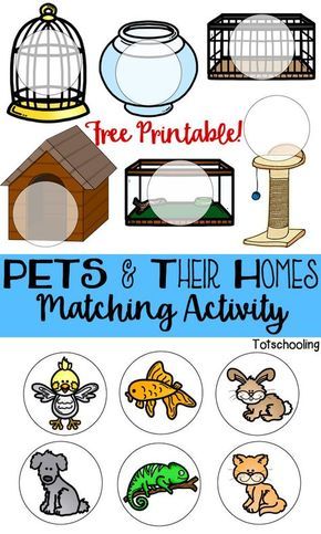 FREE printable game for toddlers and preschoolers to match pets with their cages or homes. Great for language development and learning about animals. Pets And Their Homes Matching Activity, Pet Activities For Toddlers, Preschool Pets Unit, Preschool Pet Activities, Preschool Pets, Pet Study, Preschool Freebies, Learning About Animals, Game For Toddlers