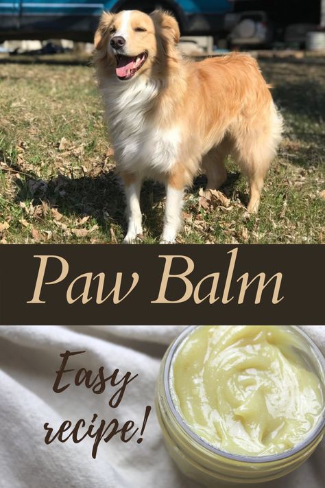 Paw Balm Recipe, Lou Dog, Dog Paw Balm, Balm Recipe, Paw Care, Dog Remedies, Paw Balm, Dog Tips, Dog Info